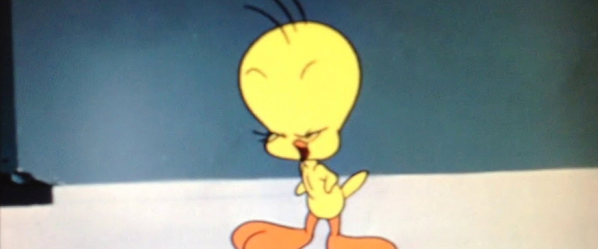 Tweet Tweet Tweety backdrop