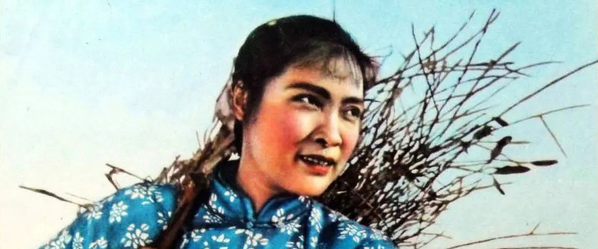 Hongse de zhongzi backdrop