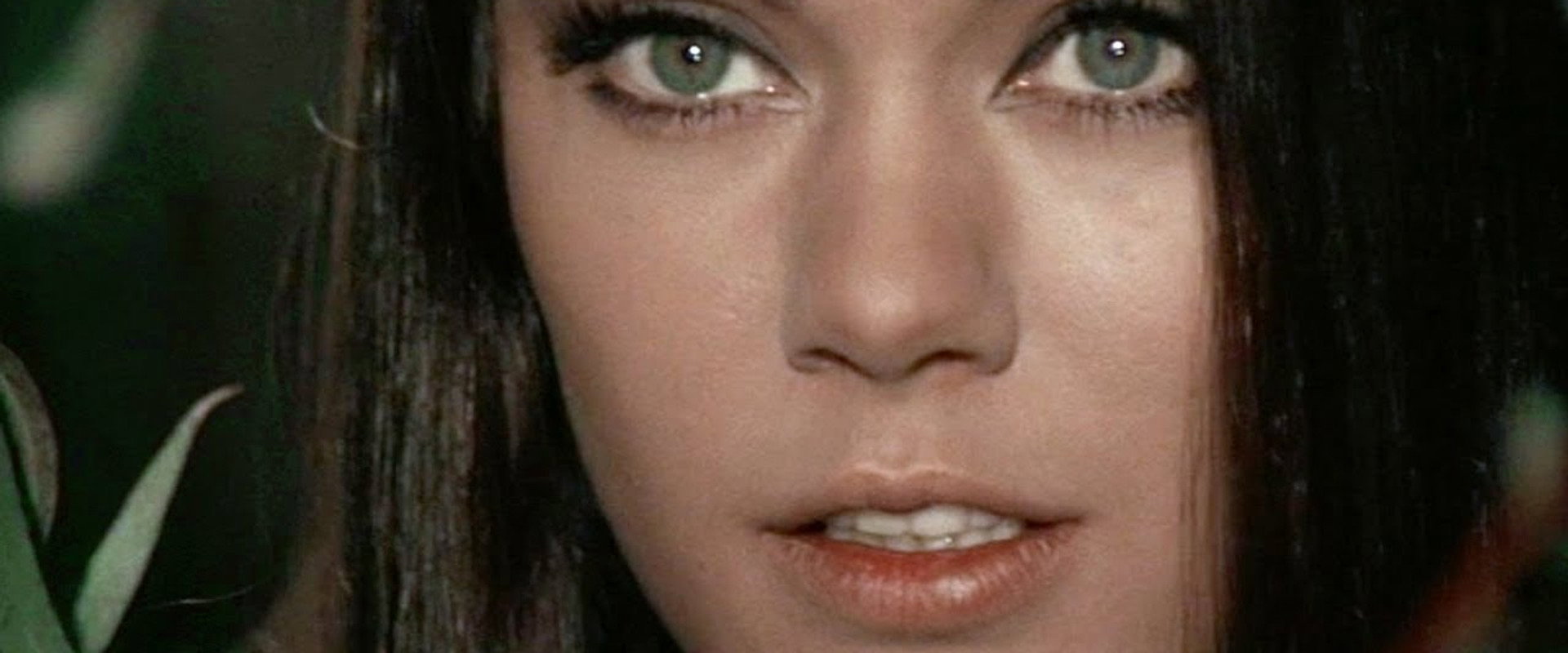 Gungala, The Black Panther Girl backdrop