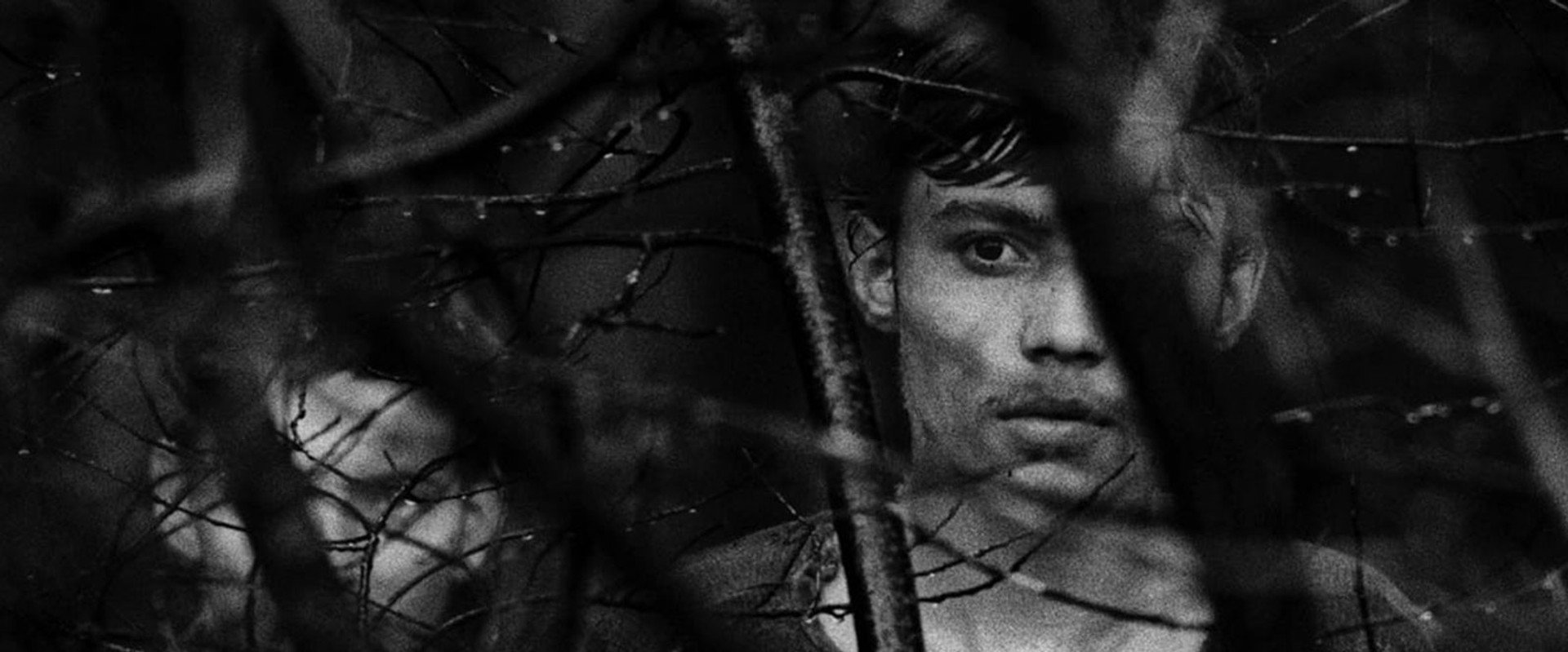 Diamonds of the Night backdrop