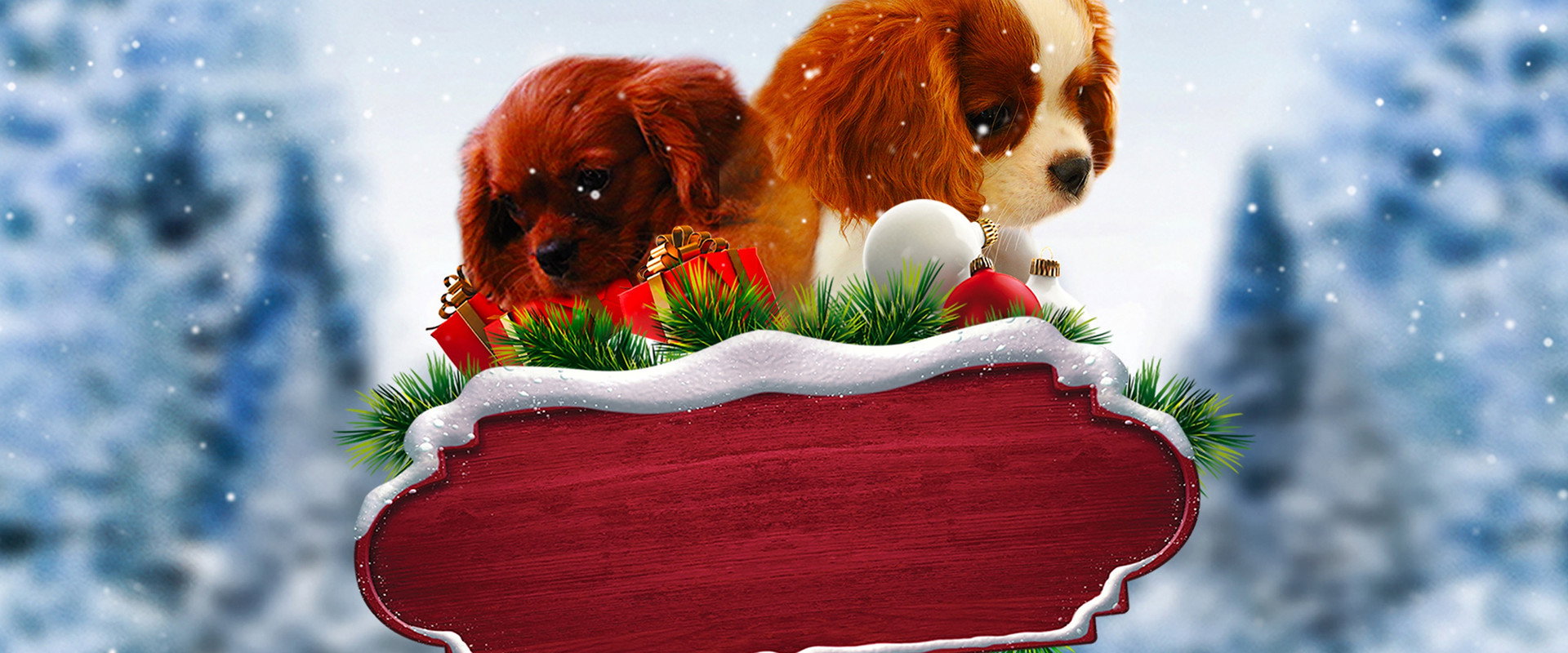 Project: Puppies for Christmas backdrop