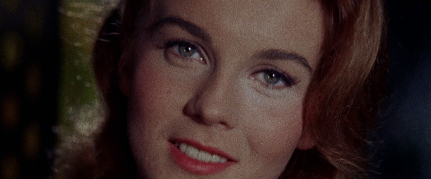 Bye Bye Birdie backdrop