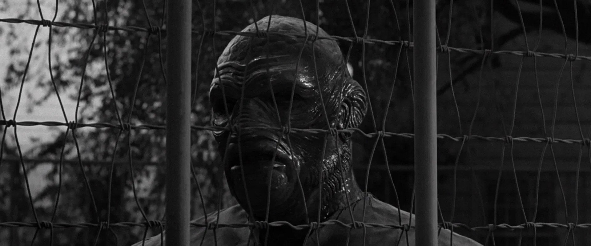 The Creature Walks Among Us backdrop