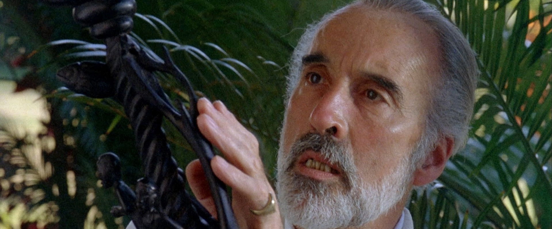 Curse III: Blood Sacrifice backdrop