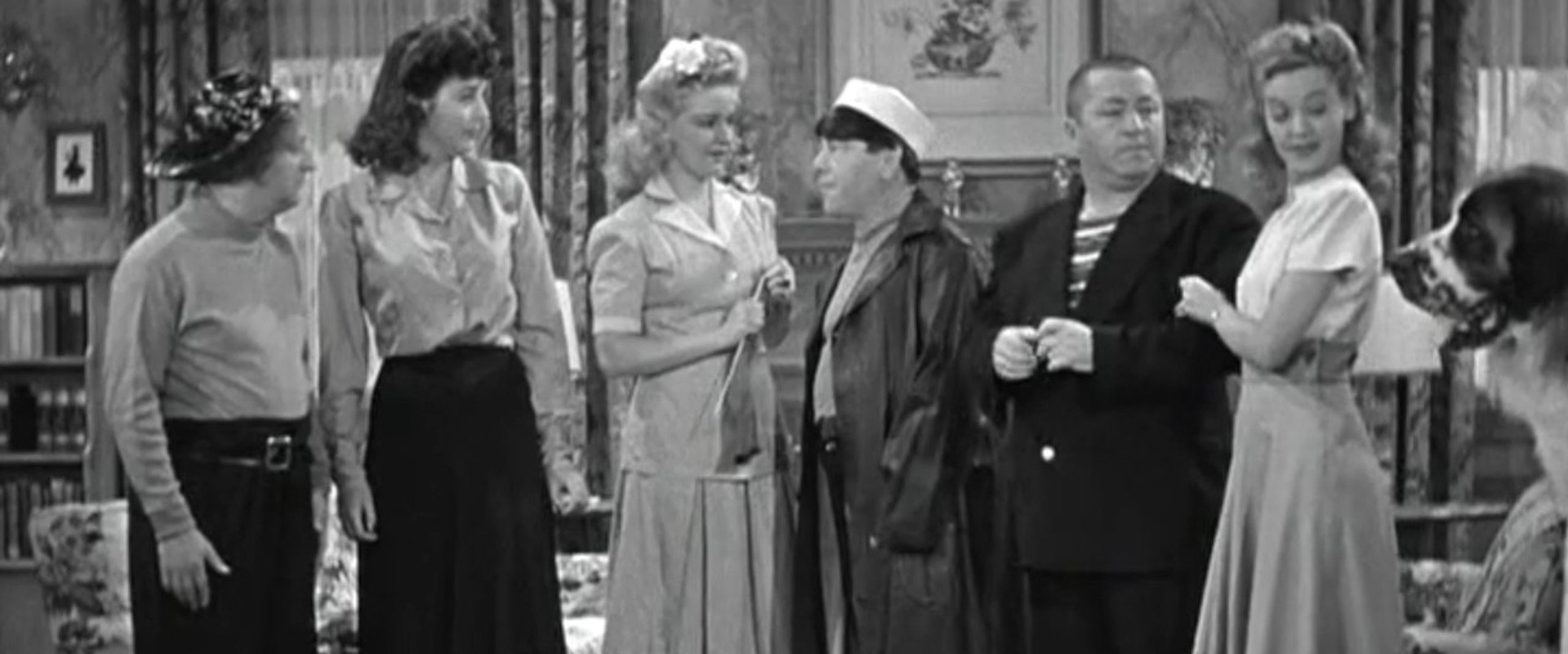 Back from the Front backdrop