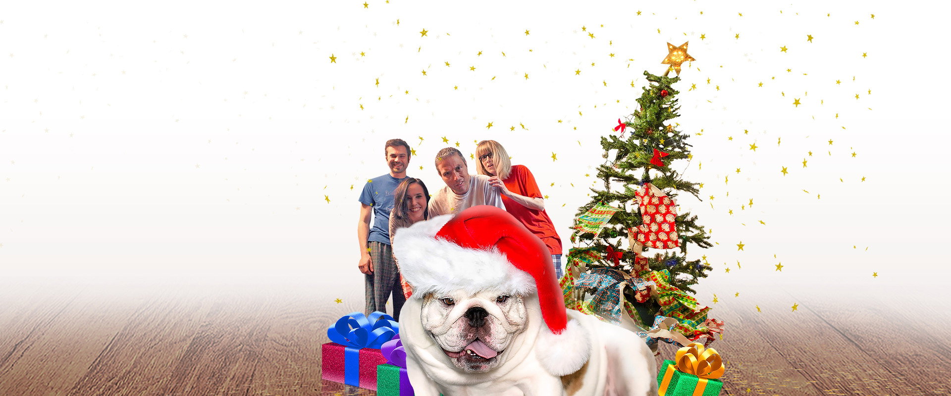 A Bulldog for Christmas backdrop