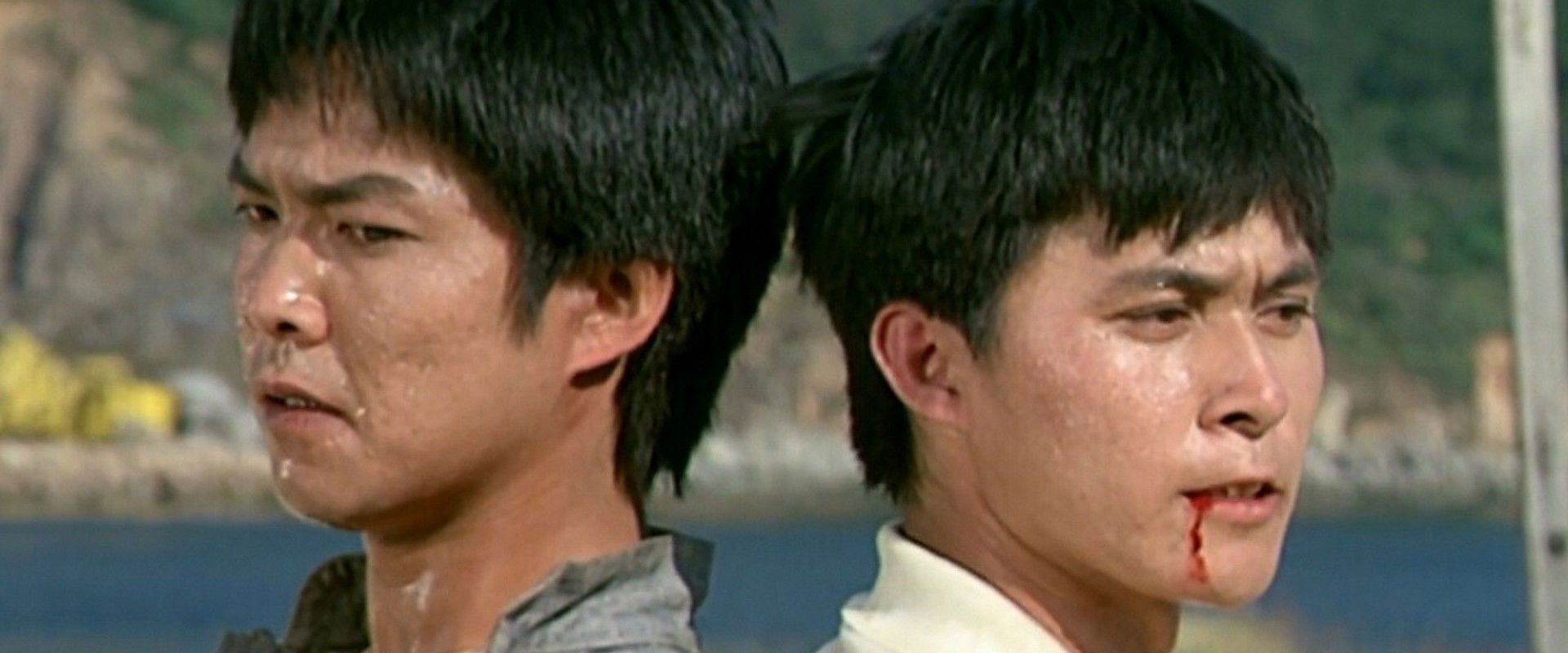 The Champions backdrop