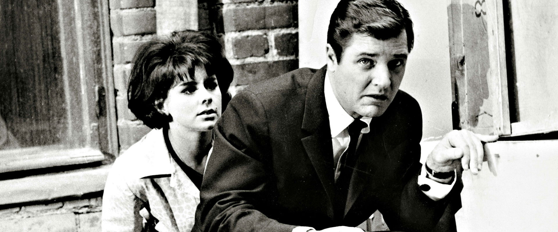 Make Like a Thief backdrop