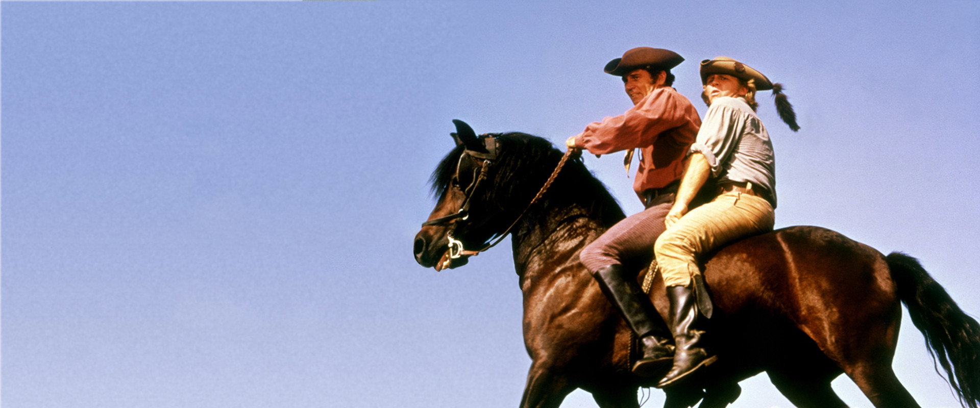 Justin Morgan Had a Horse backdrop