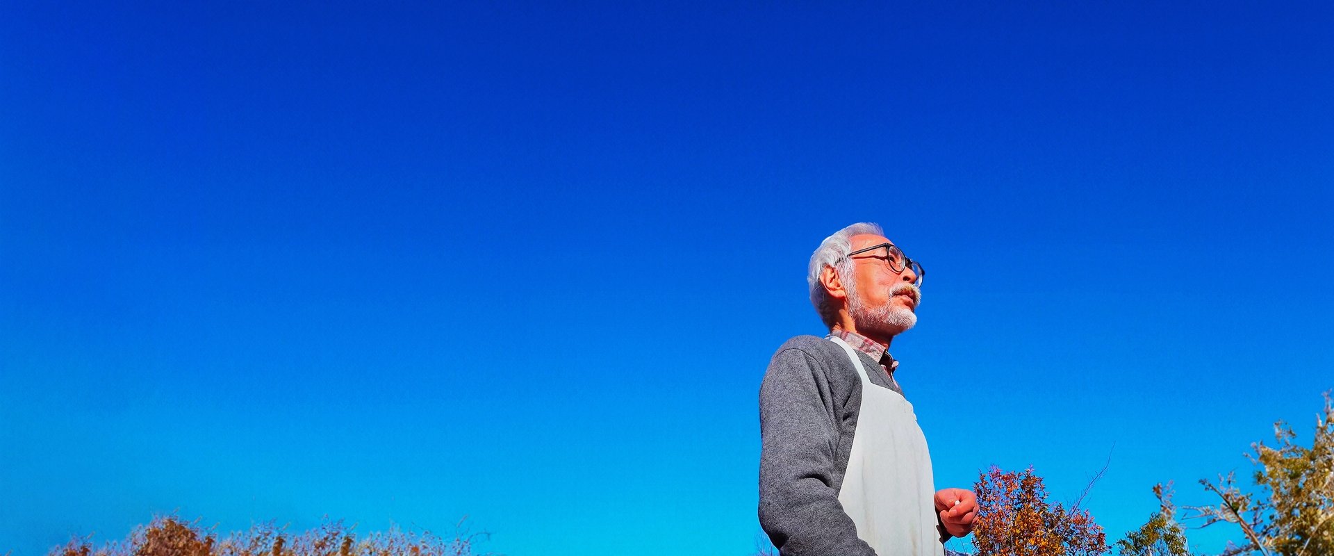 Hayao Miyazaki and the Heron backdrop