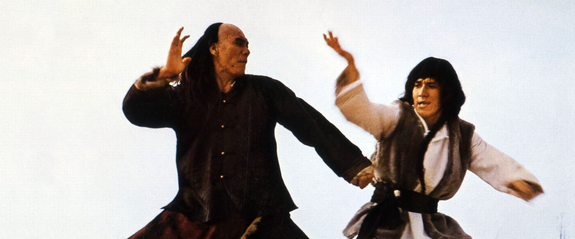 Snake & Crane Arts of Shaolin backdrop