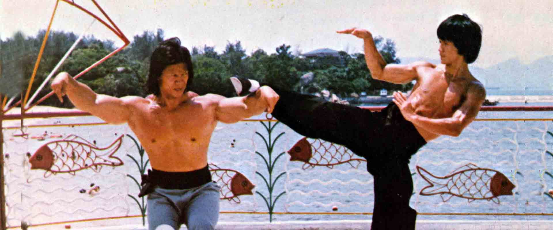 The Legend Of Bruce Lee backdrop