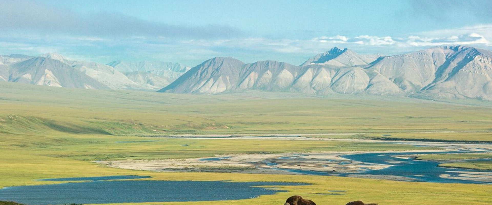 American Arctic backdrop