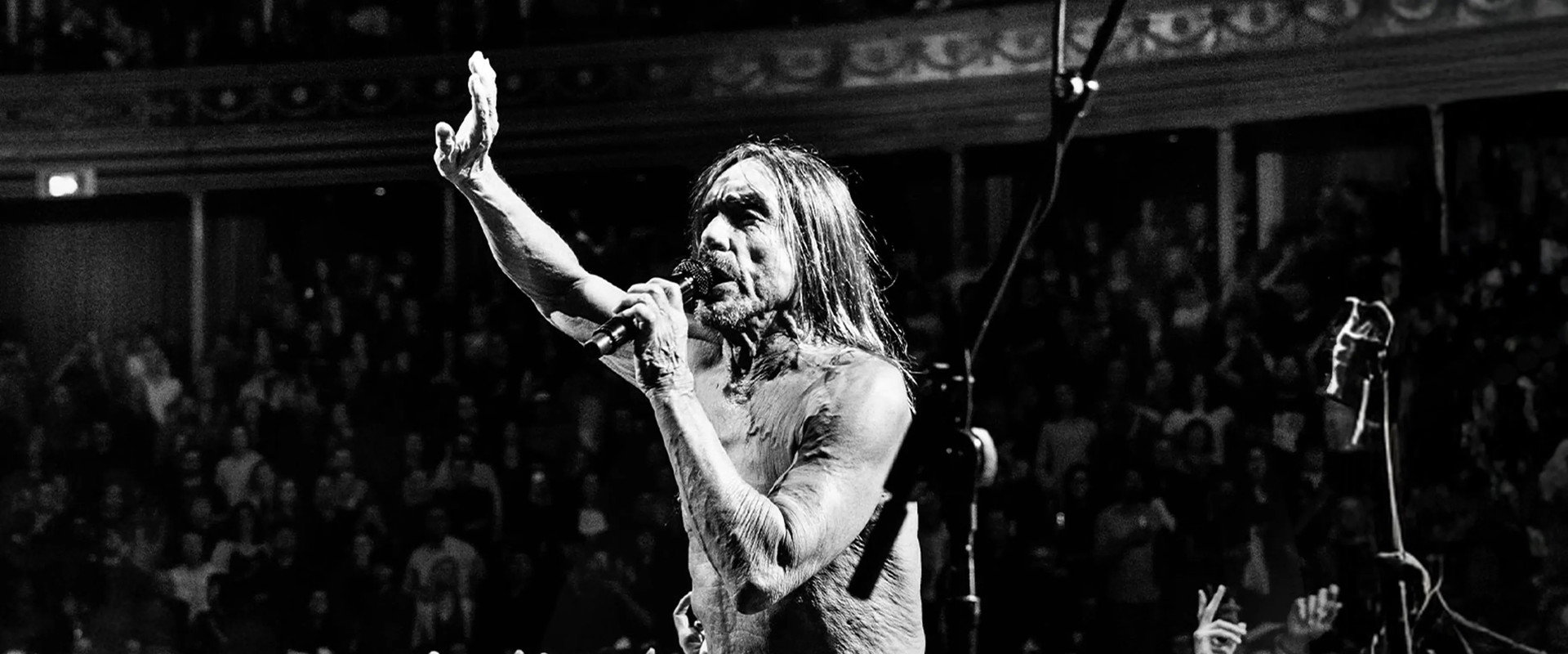 Iggy Pop - Post Pop Depression: Live at the Royal Albert Hall backdrop