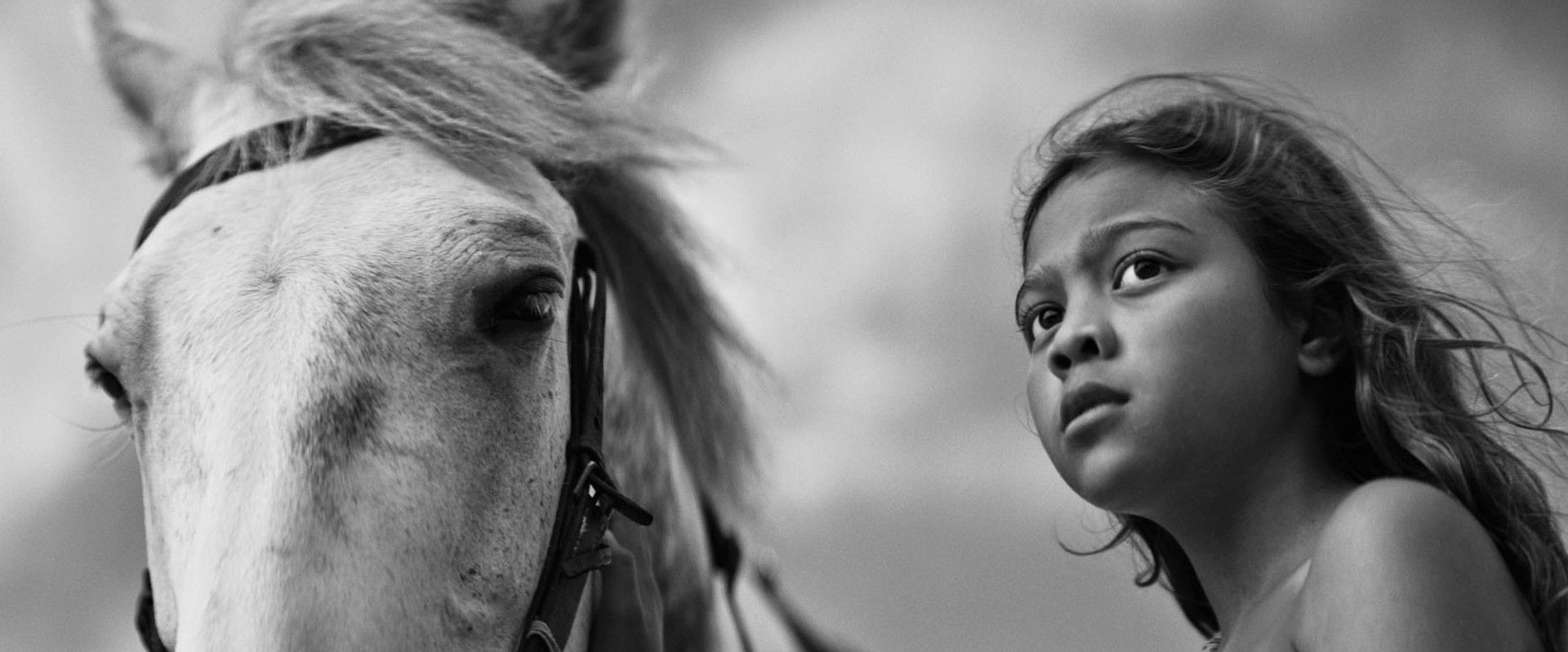 First Horse backdrop