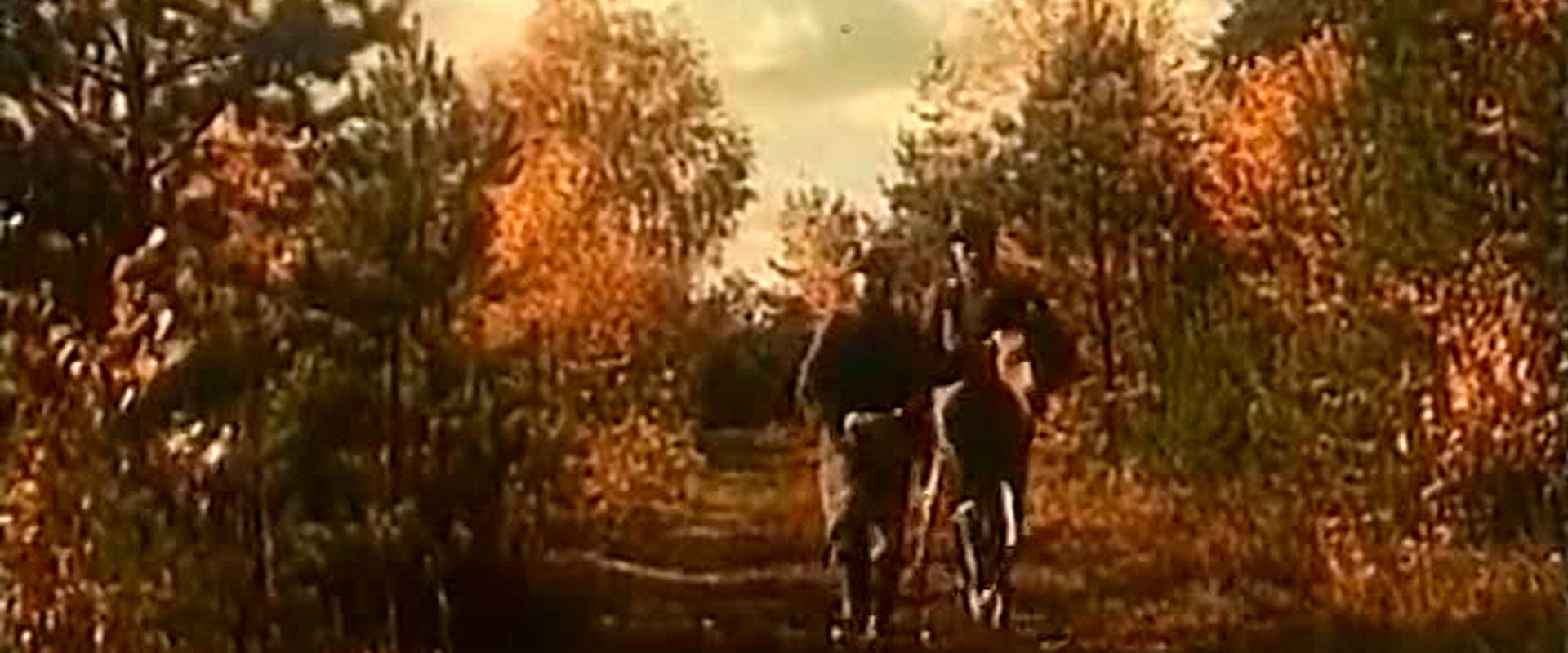 A Tale of the Forest Giant backdrop