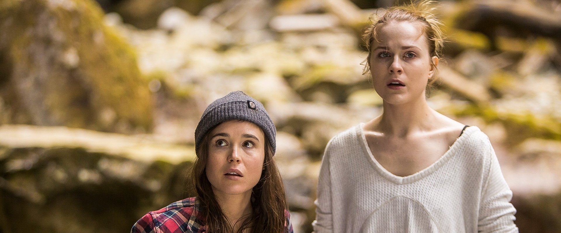 Into the Forest backdrop