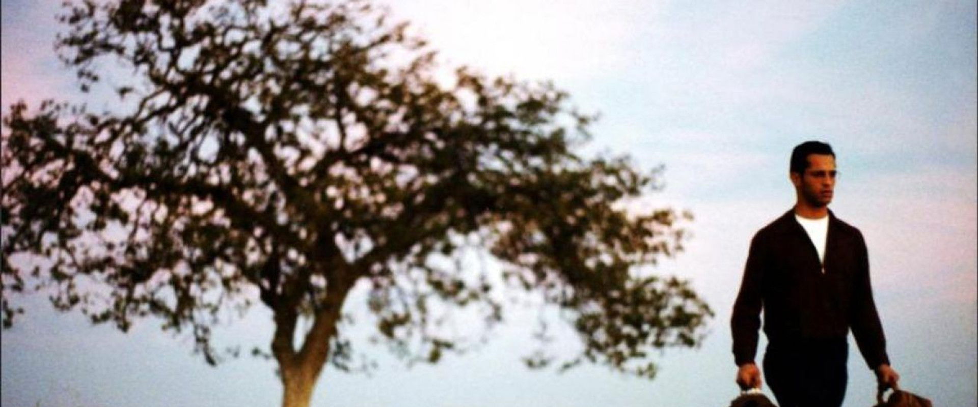 Public Access backdrop