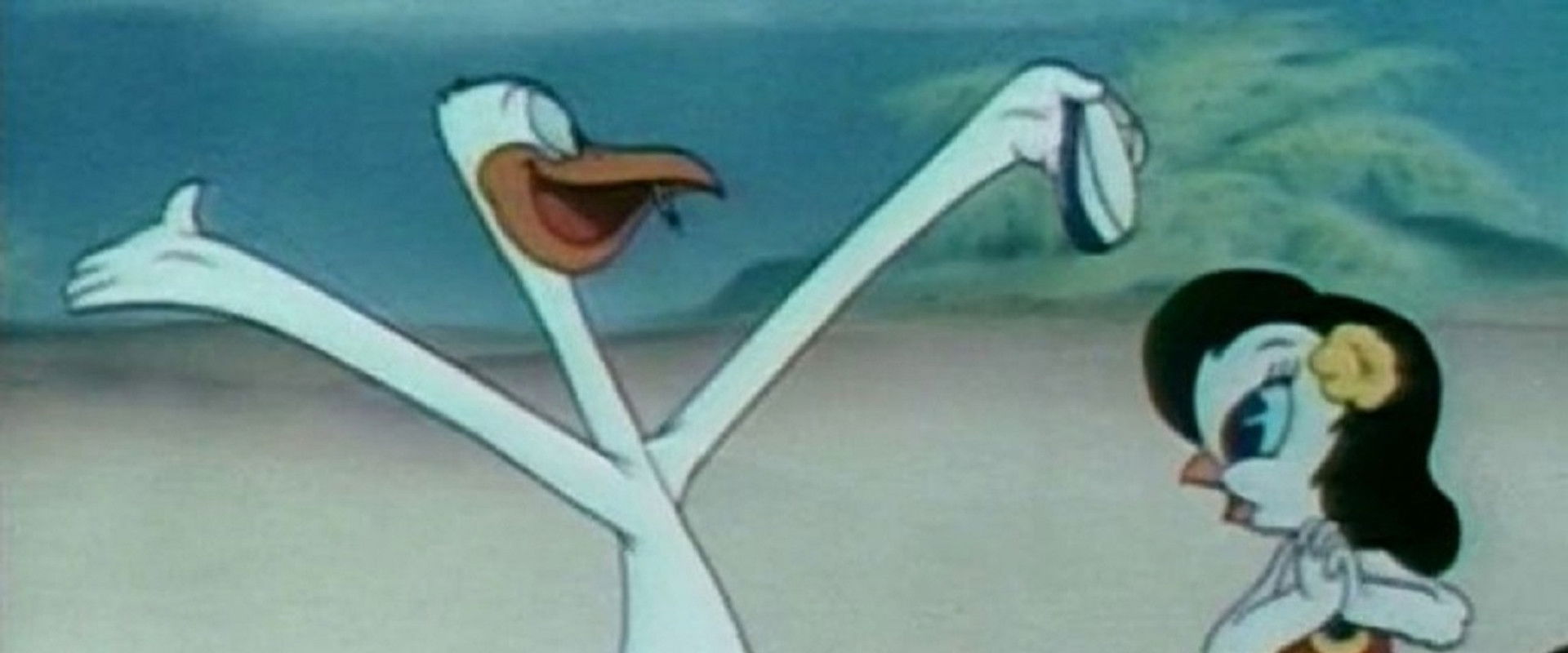 Aloha Hooey backdrop