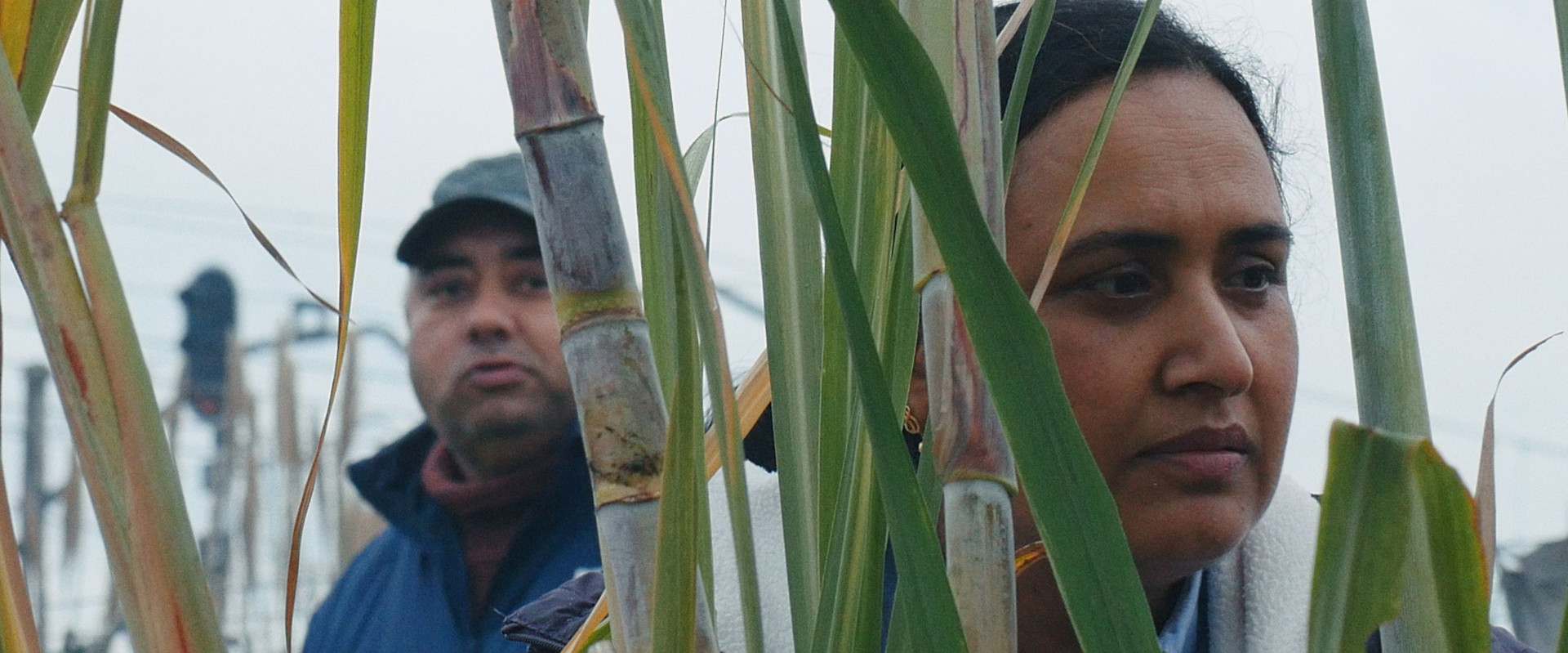 Good Valley Stories backdrop