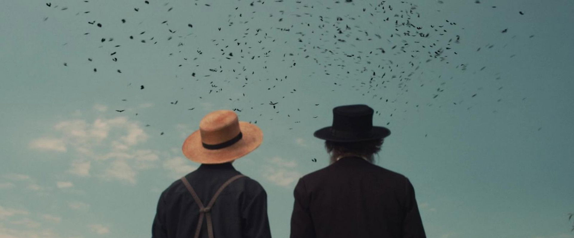 The Harvesting backdrop