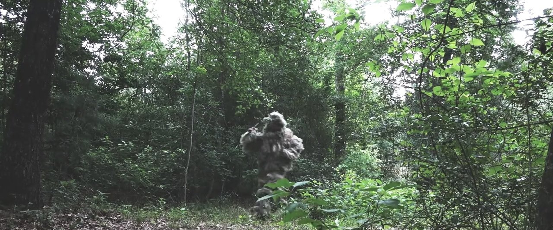 The Mountain Stalker