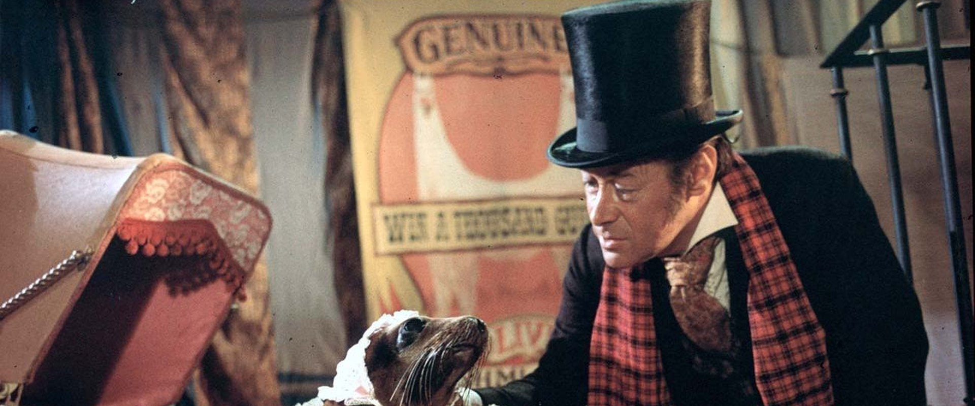 Doctor Dolittle