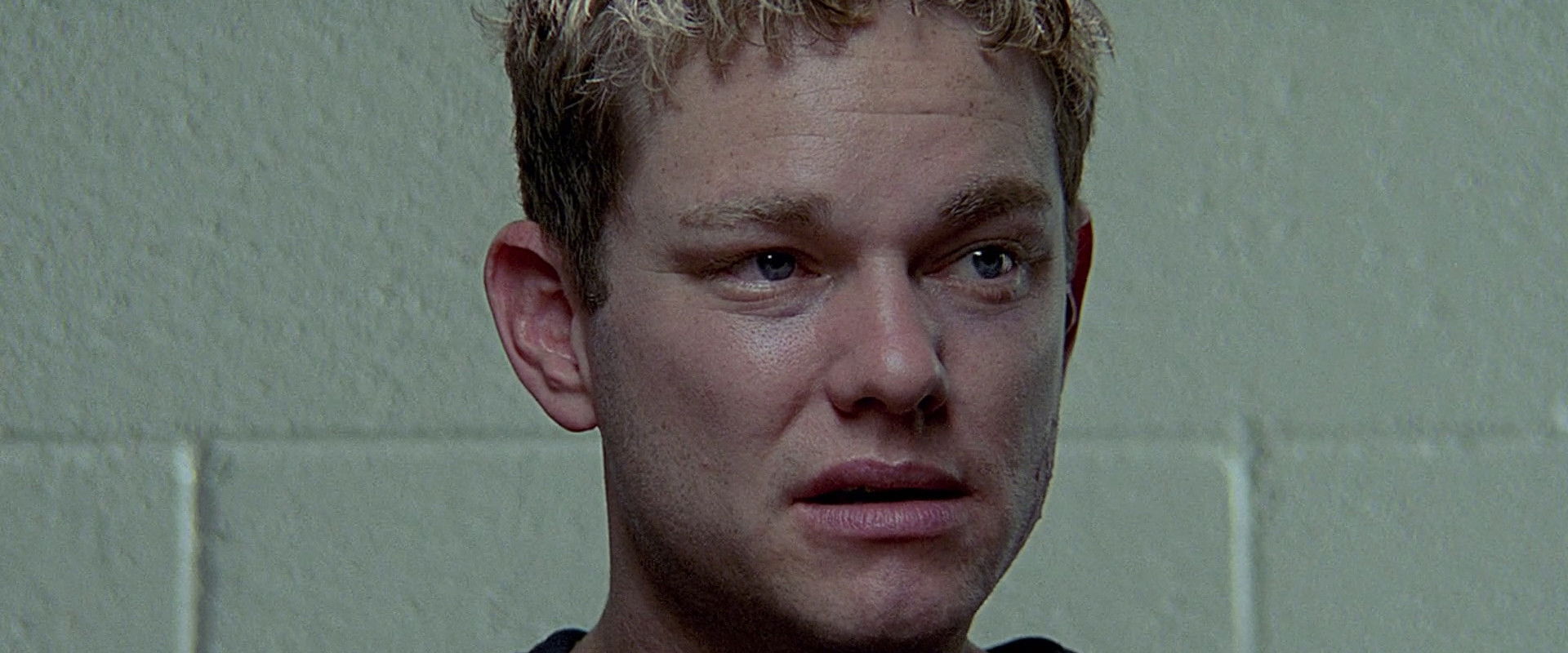 The Sighting backdrop