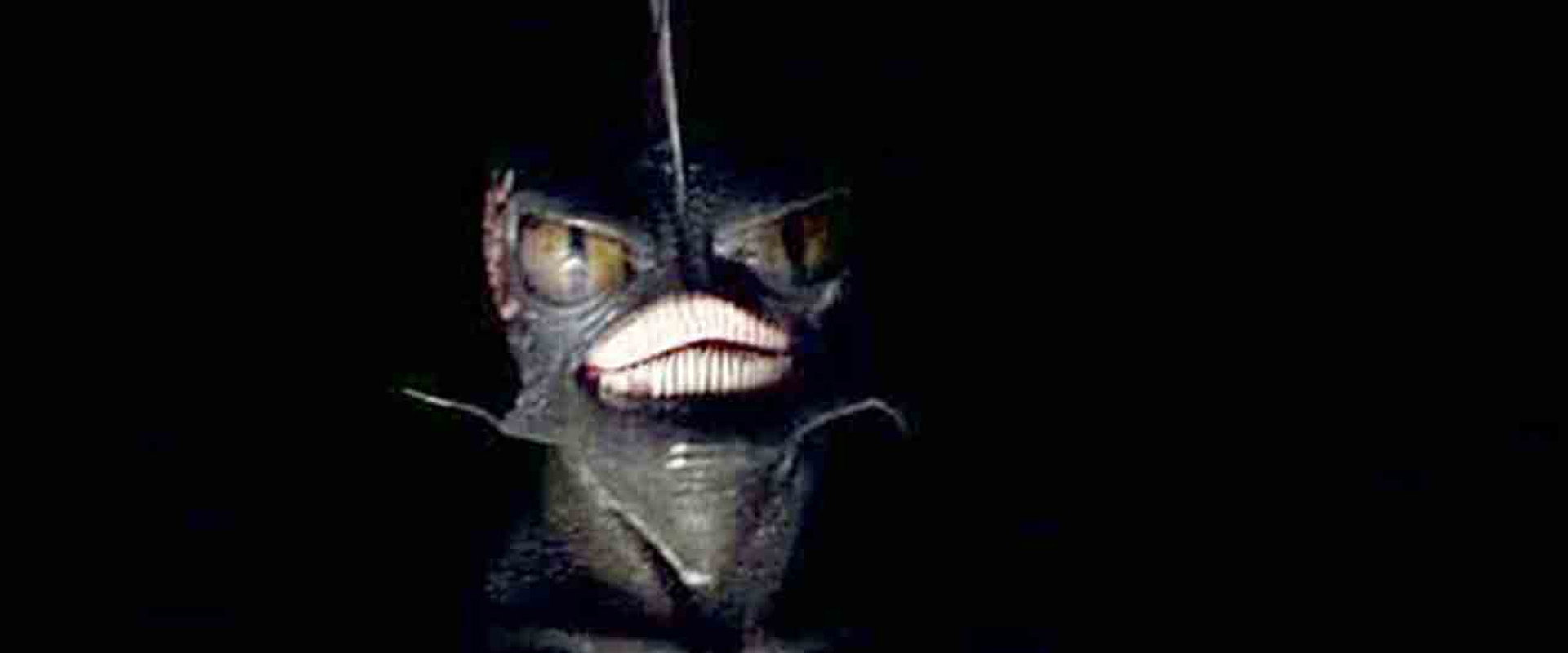 Hypothermia backdrop