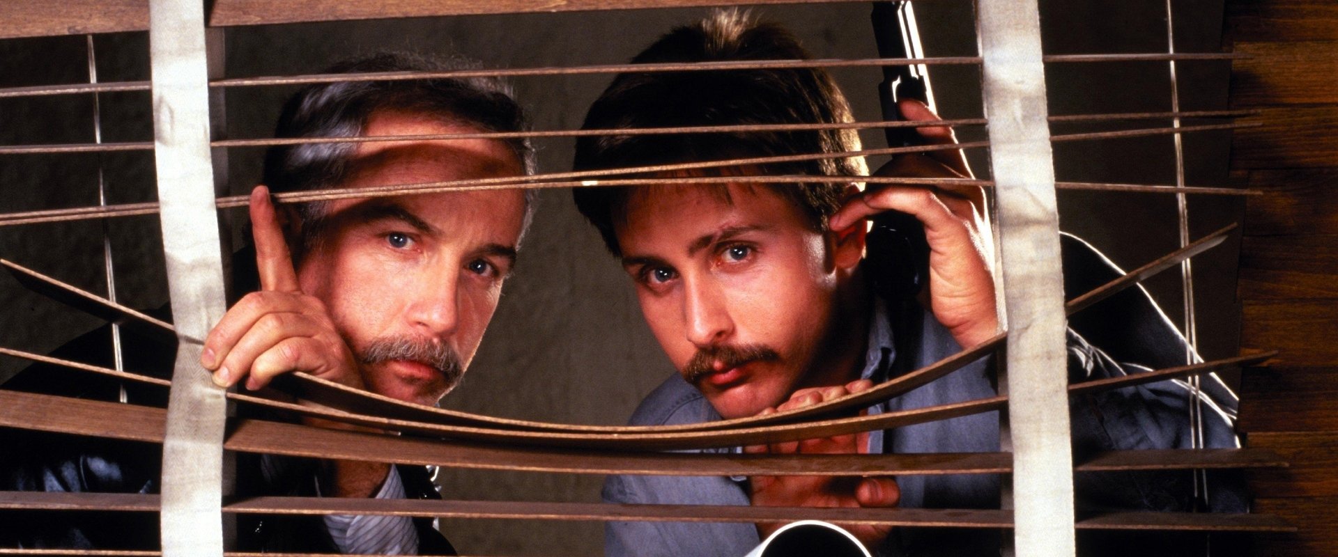 Stakeout backdrop