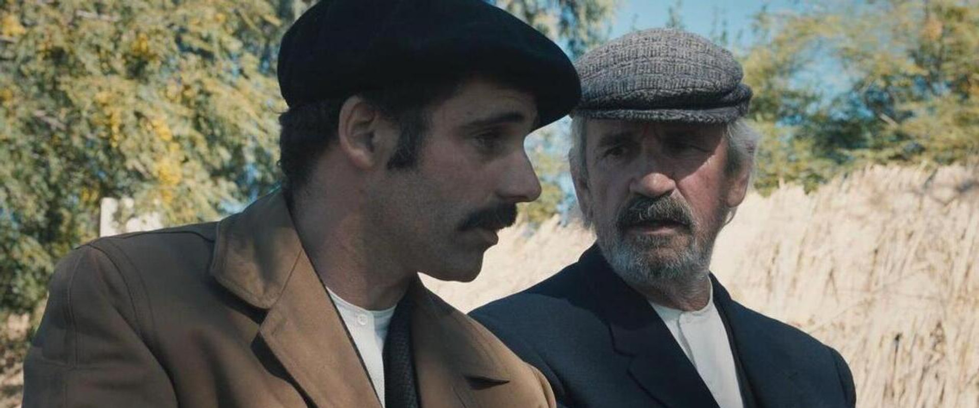 Ombuaren itzala backdrop