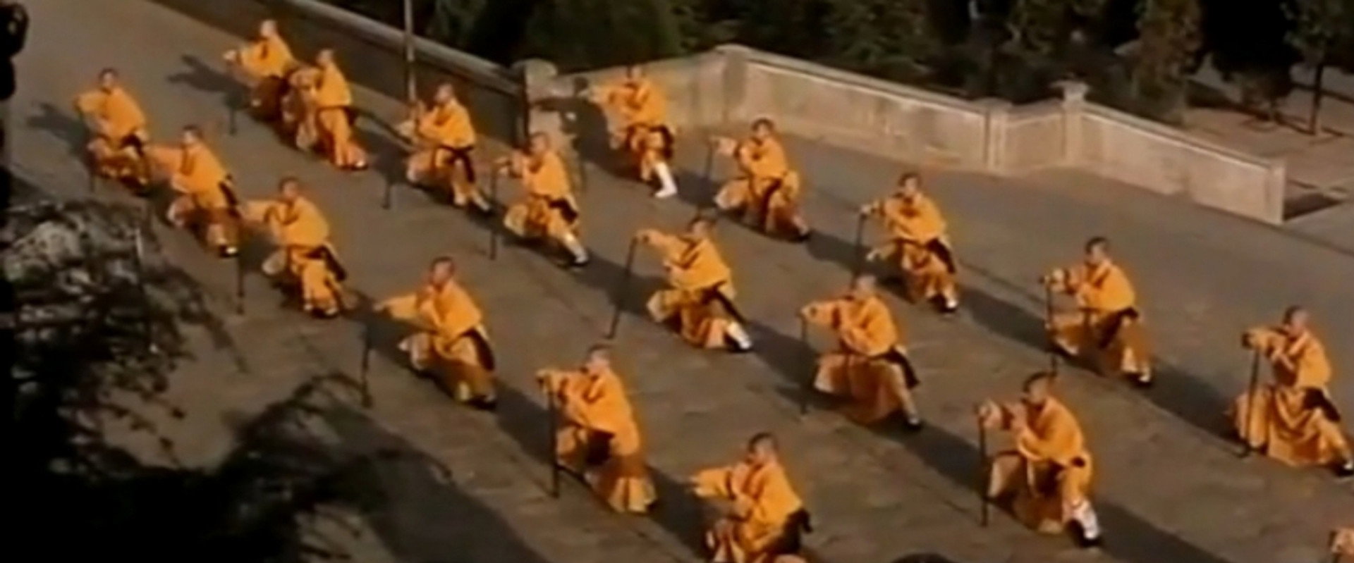 Shaolin Kung Fu backdrop