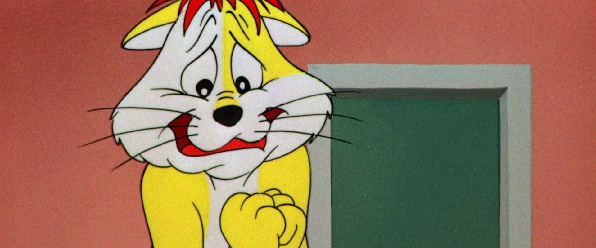 The Hypo-Chondri-Cat backdrop