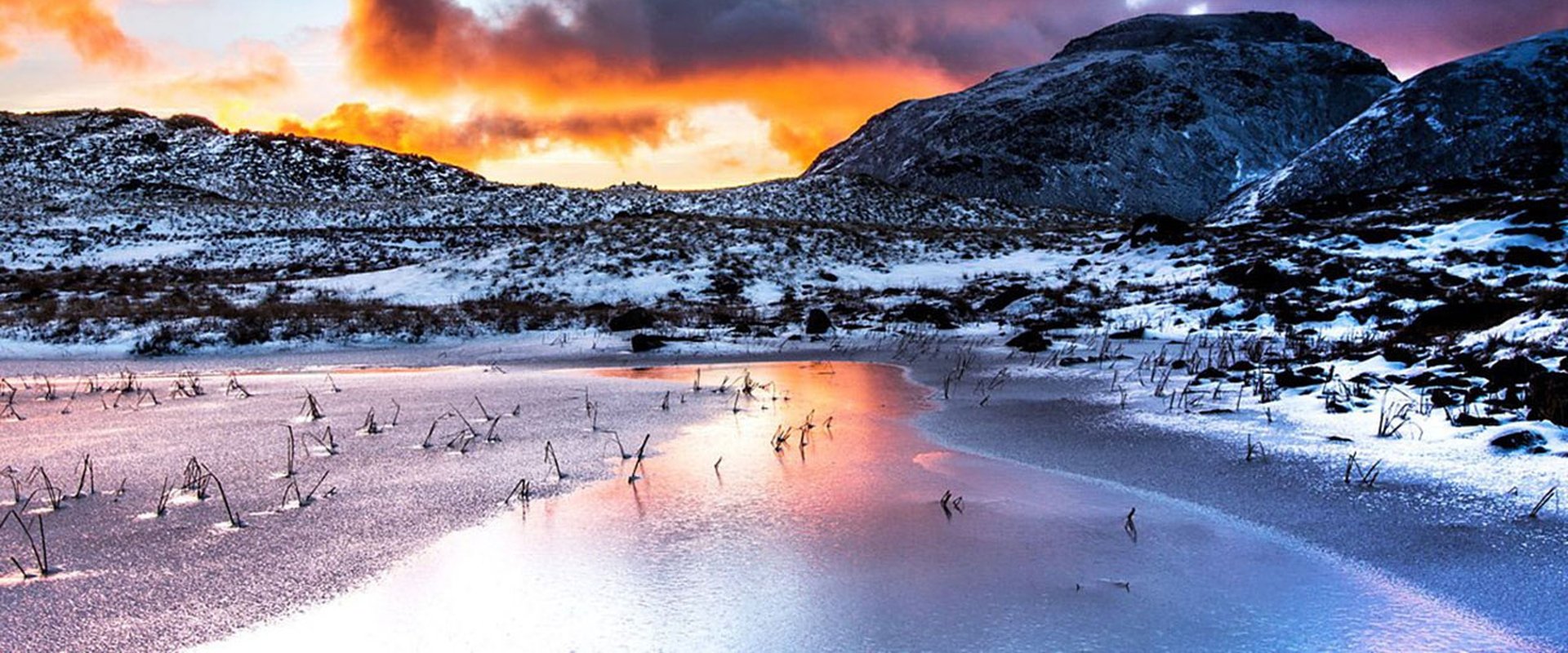 The Lake District: A Wild Year backdrop