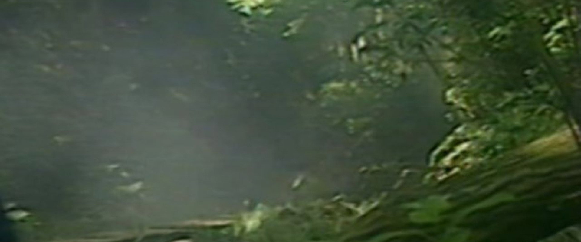 Youjo Melon backdrop