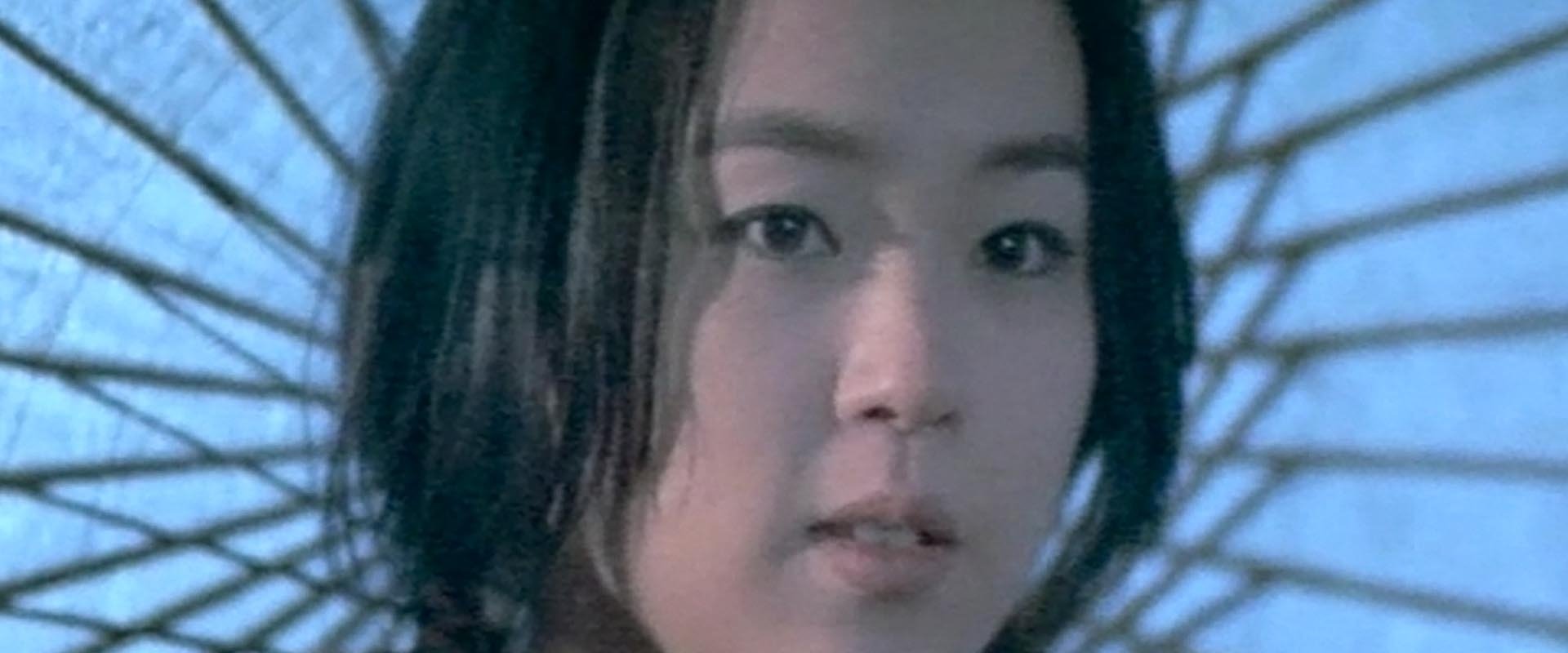 Natural City backdrop