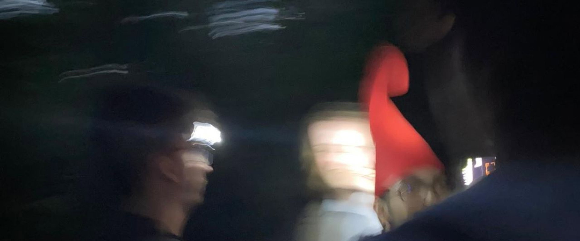 Gnome Hunting Found Footage backdrop