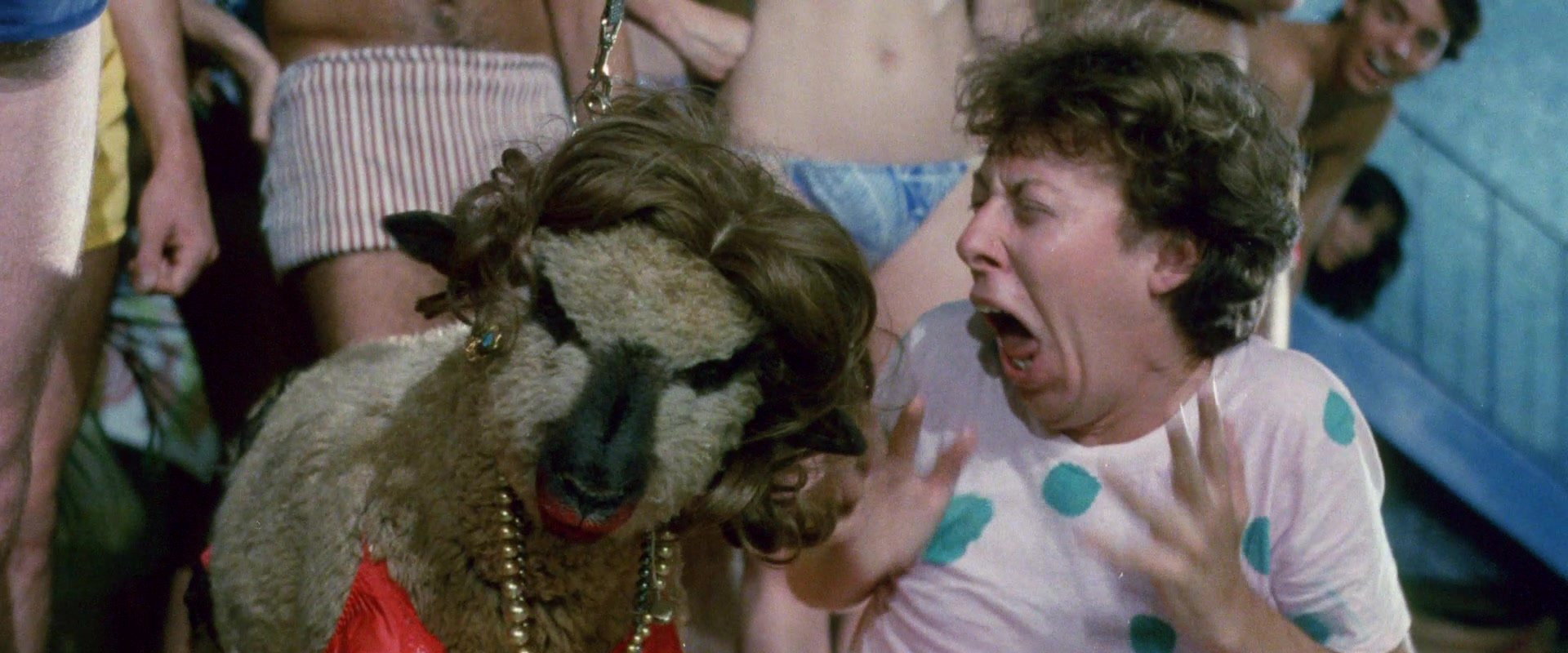The Toxic Avenger backdrop
