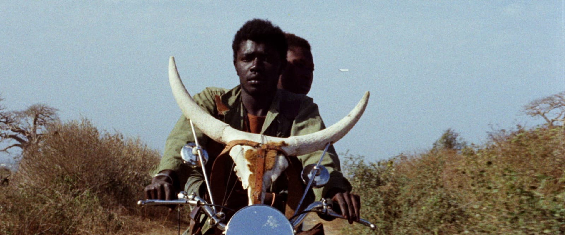 Touki Bouki backdrop