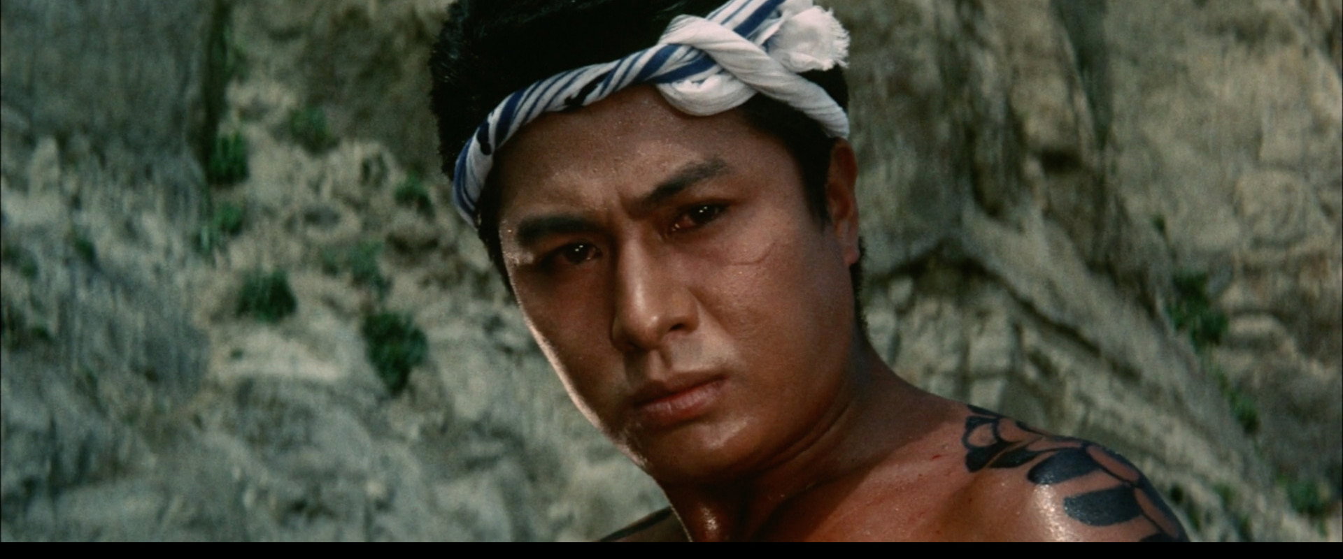 Rampaging Dragon of the North backdrop