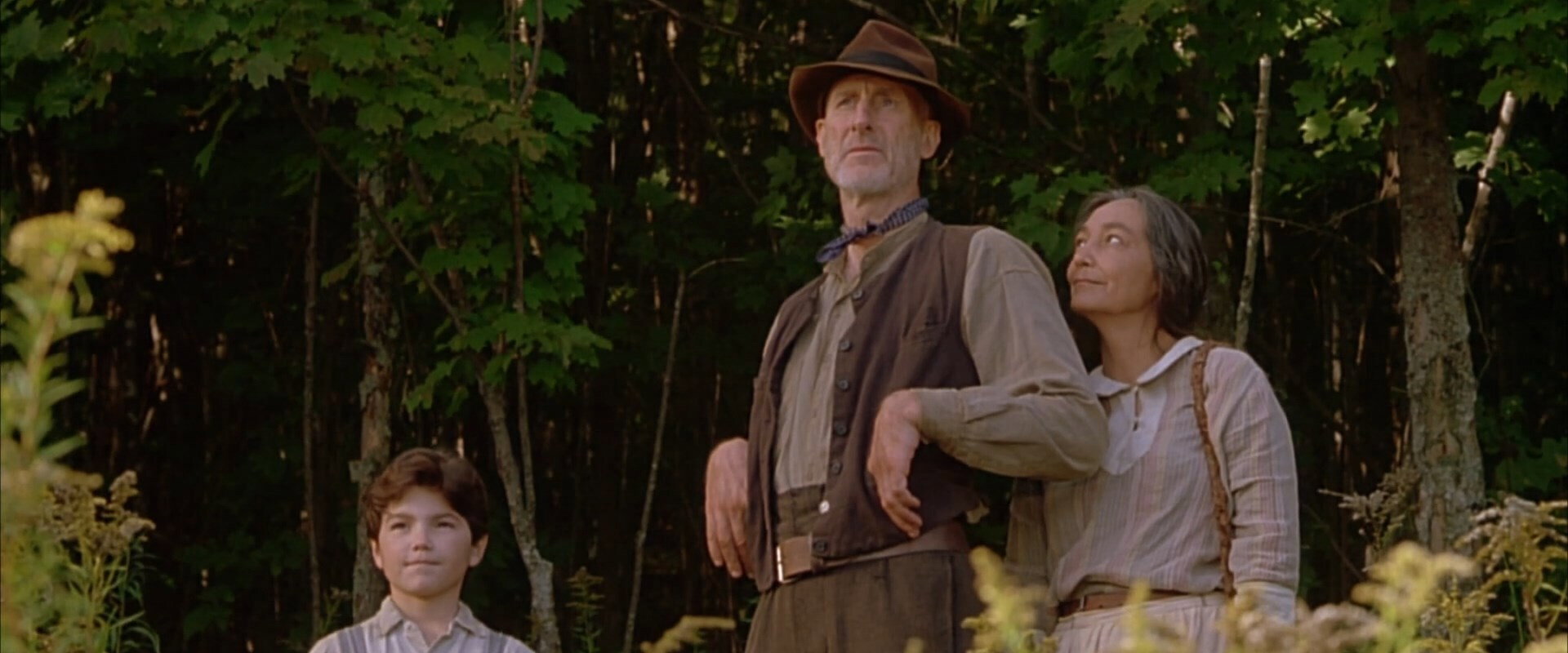 The Education of Little Tree backdrop