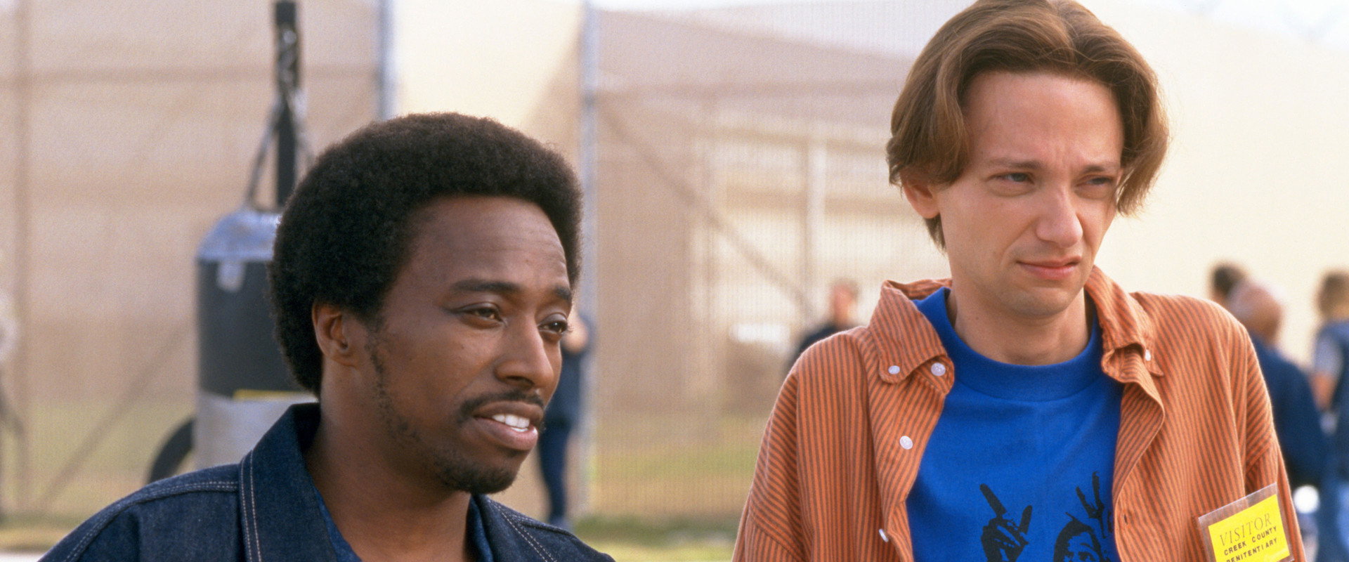 The New Guy backdrop