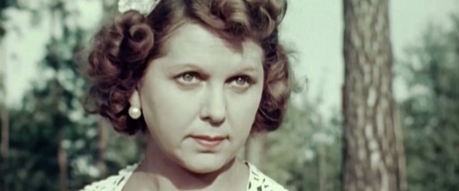 Precious Gift backdrop