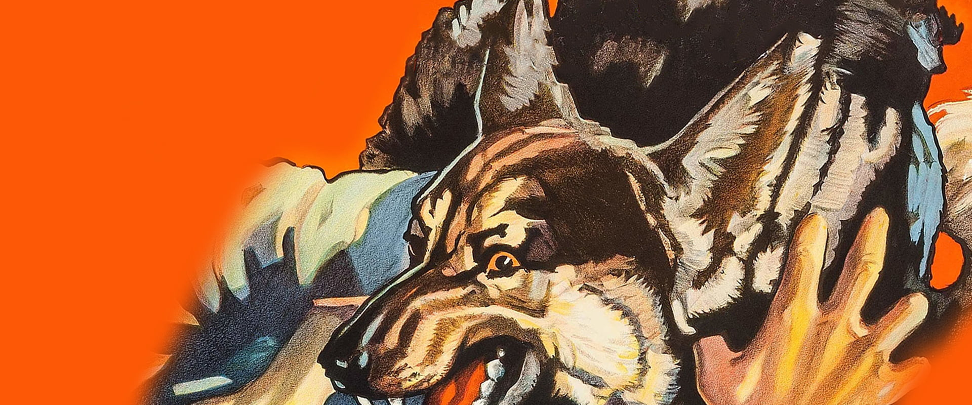 Ferocious Pal backdrop