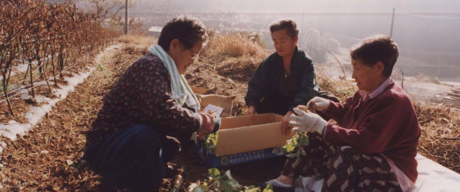 Habitual Sadness backdrop