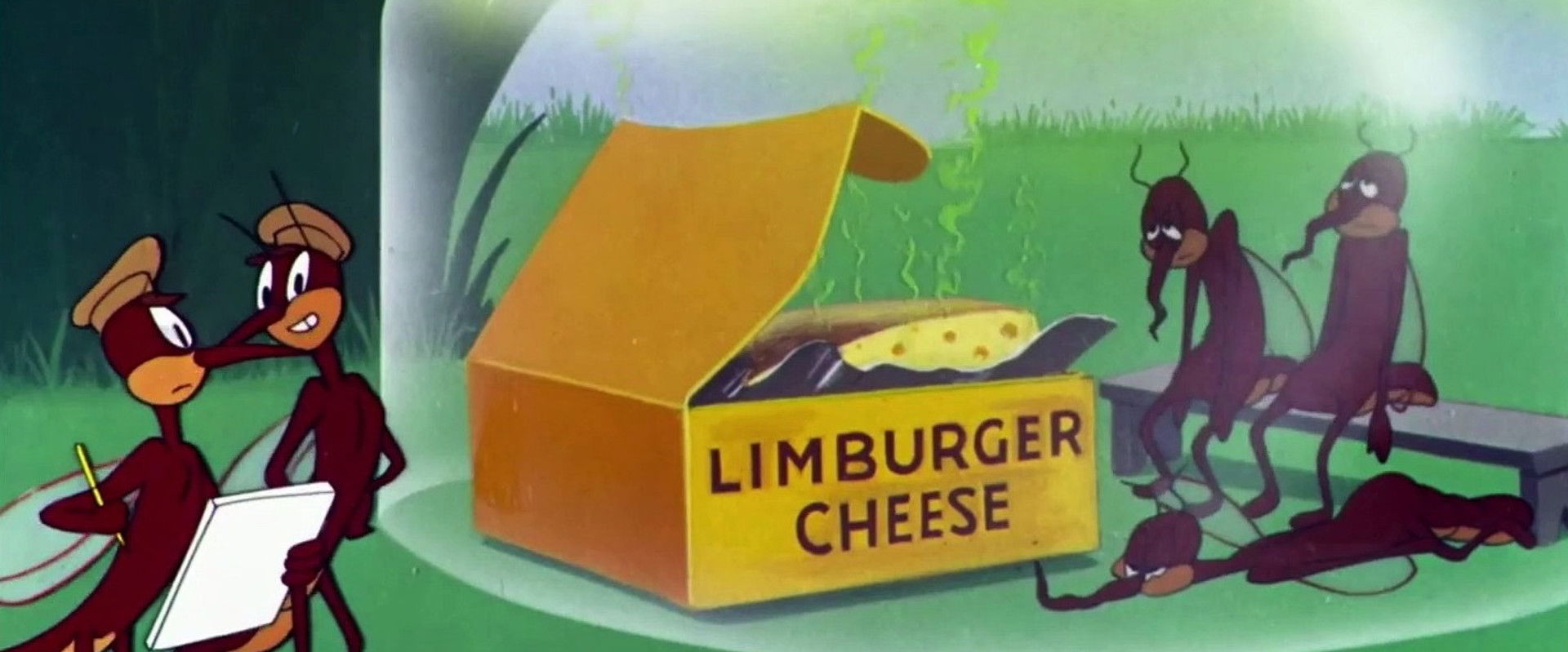 Of Thee I Sting backdrop