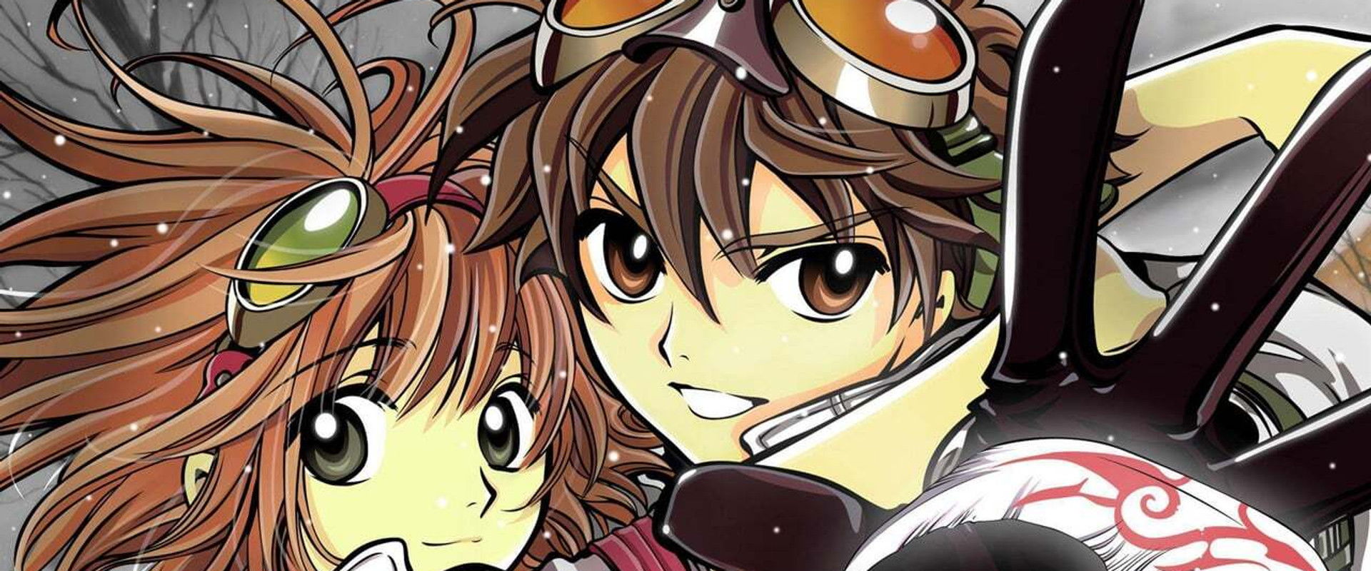 Tsubasa Chronicle The Movie: The Princess in the Birdcage Kingdom backdrop