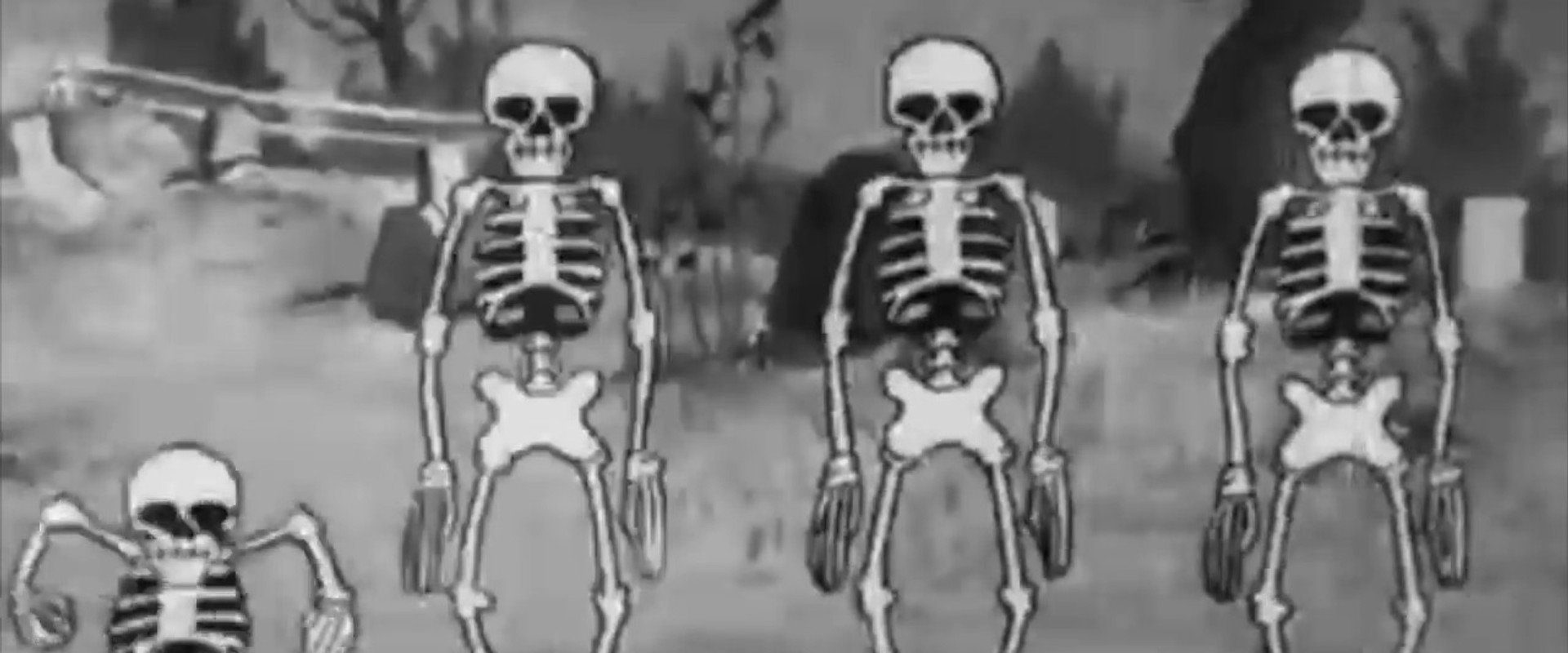 HESTENS NATT | Halloween-spesial backdrop