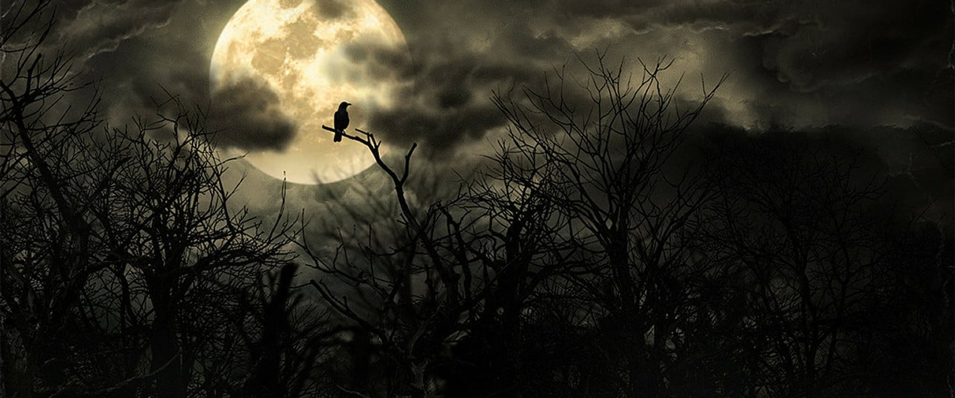 The Hair of the Beast backdrop