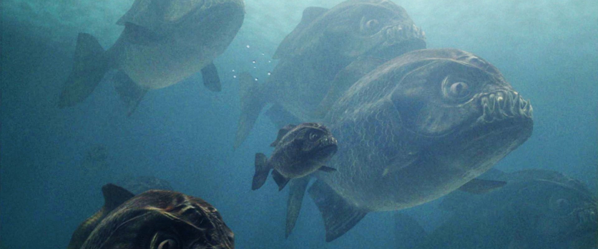 Mega Piranha backdrop